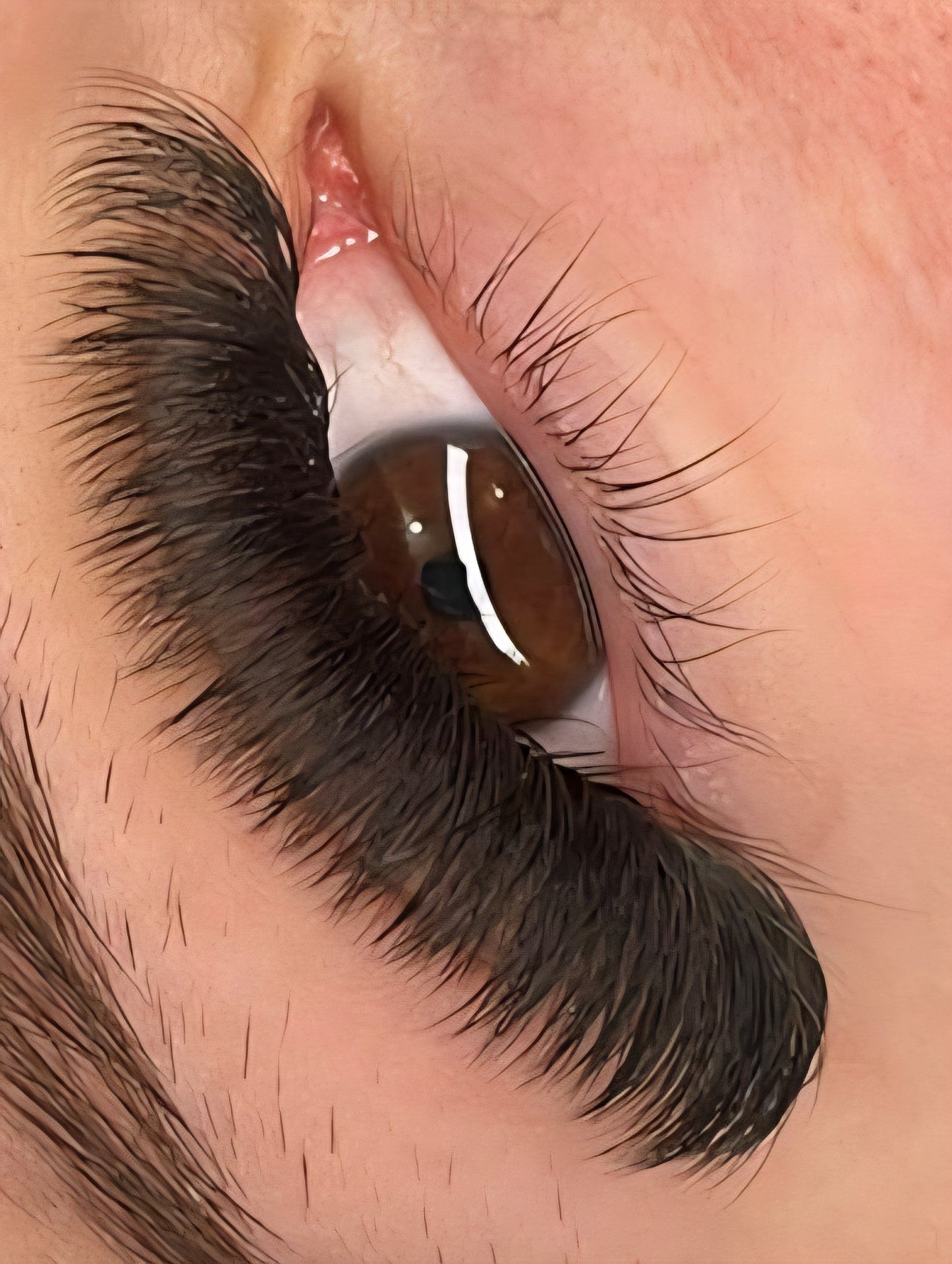 Platinum Promade Tray Ultra Black 920 Fans