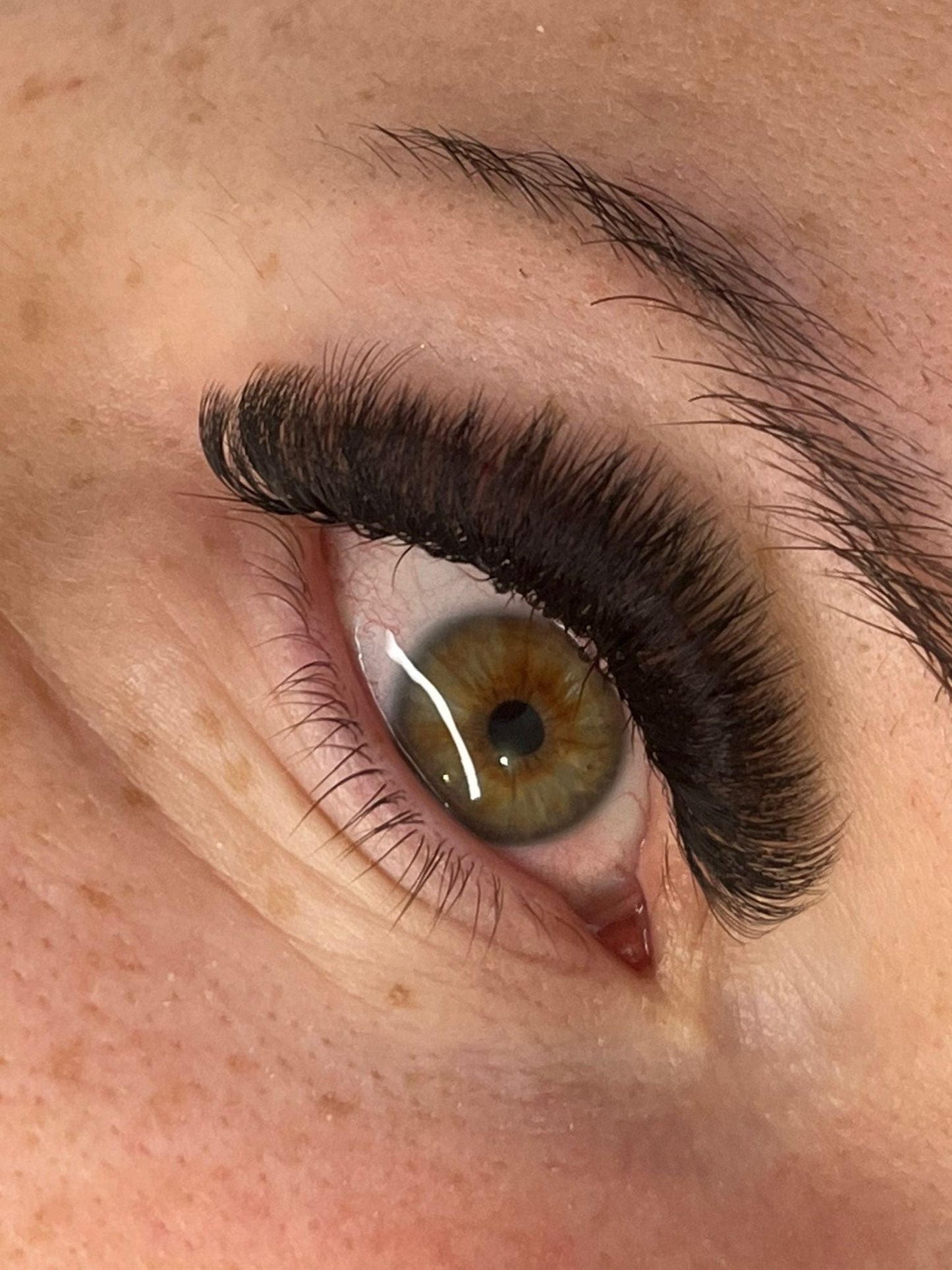 Platinum Promade Tray Ultra Black 920 Fans