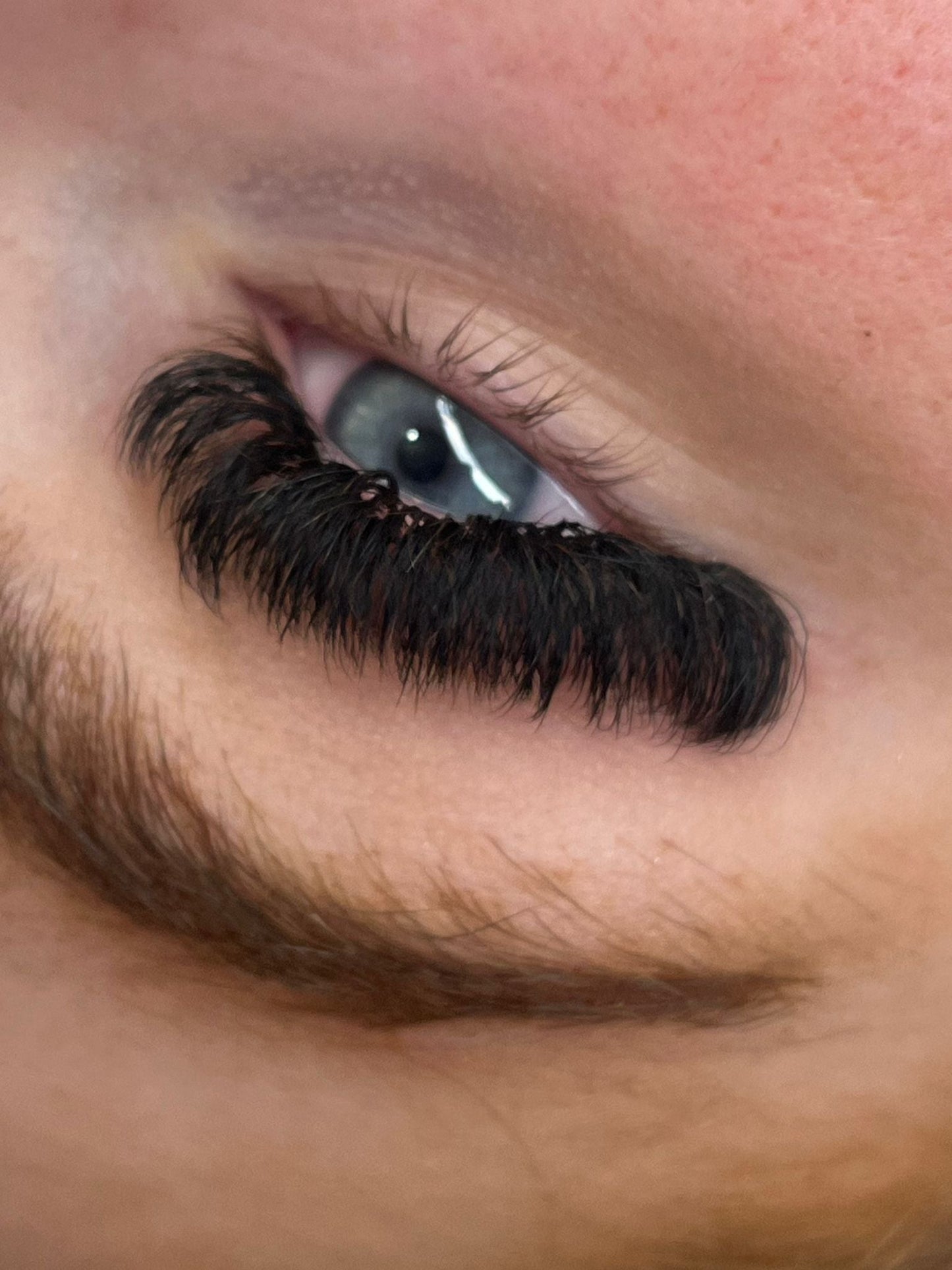 10D Clover Lash Mixed Tray