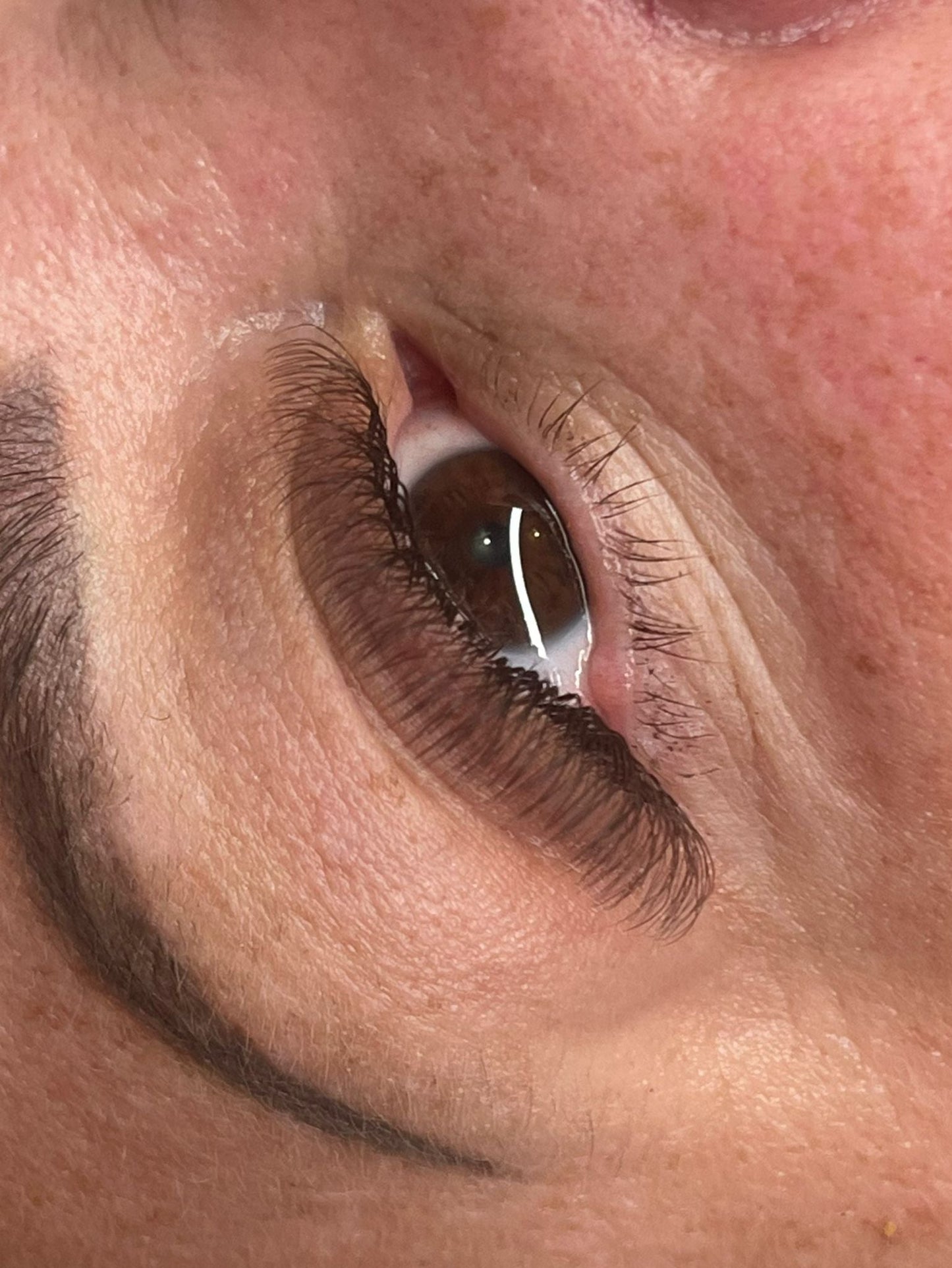 Brown 4D Clover Mixed Tray