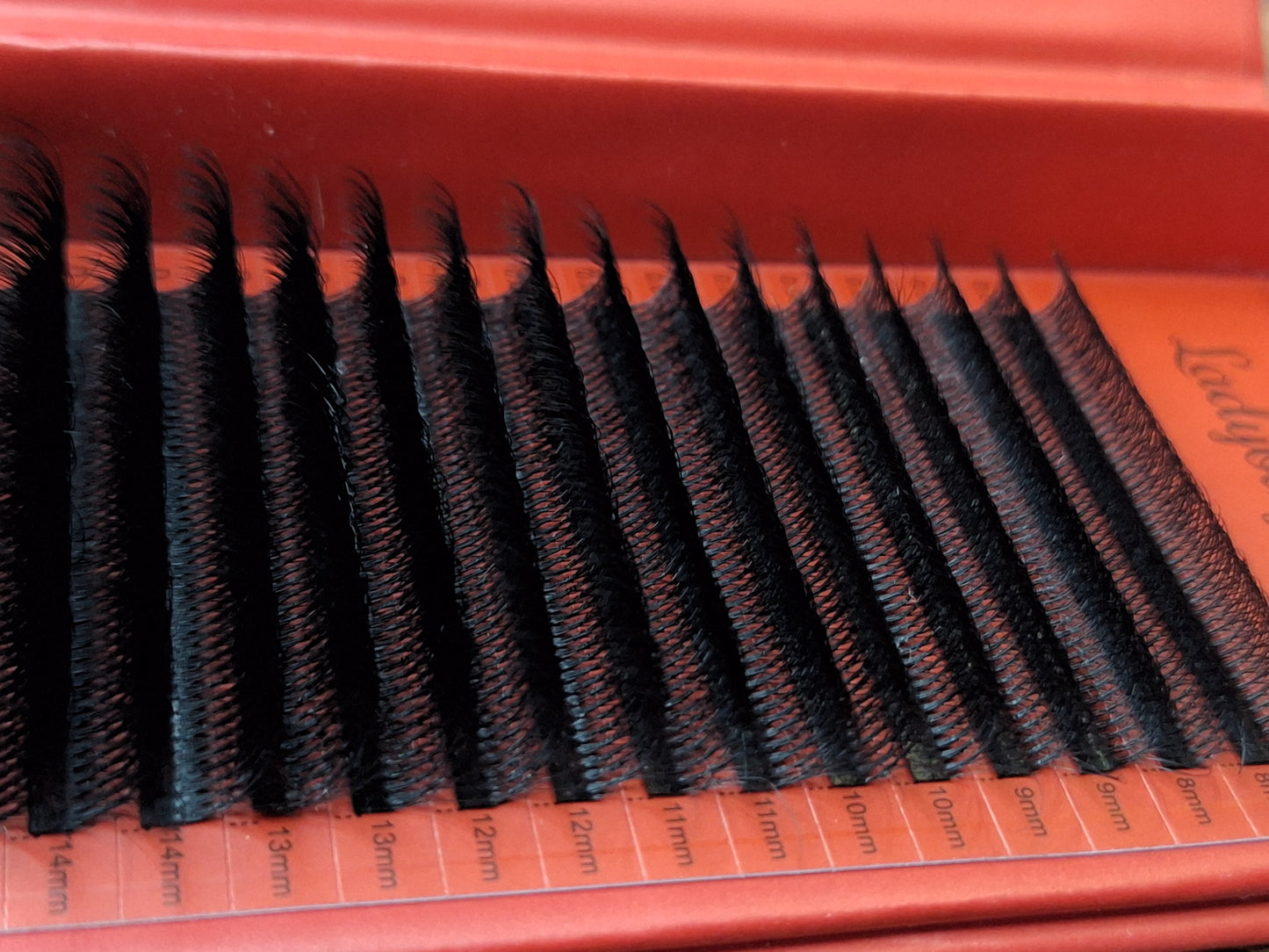 10D Clover Lash Mixed Tray