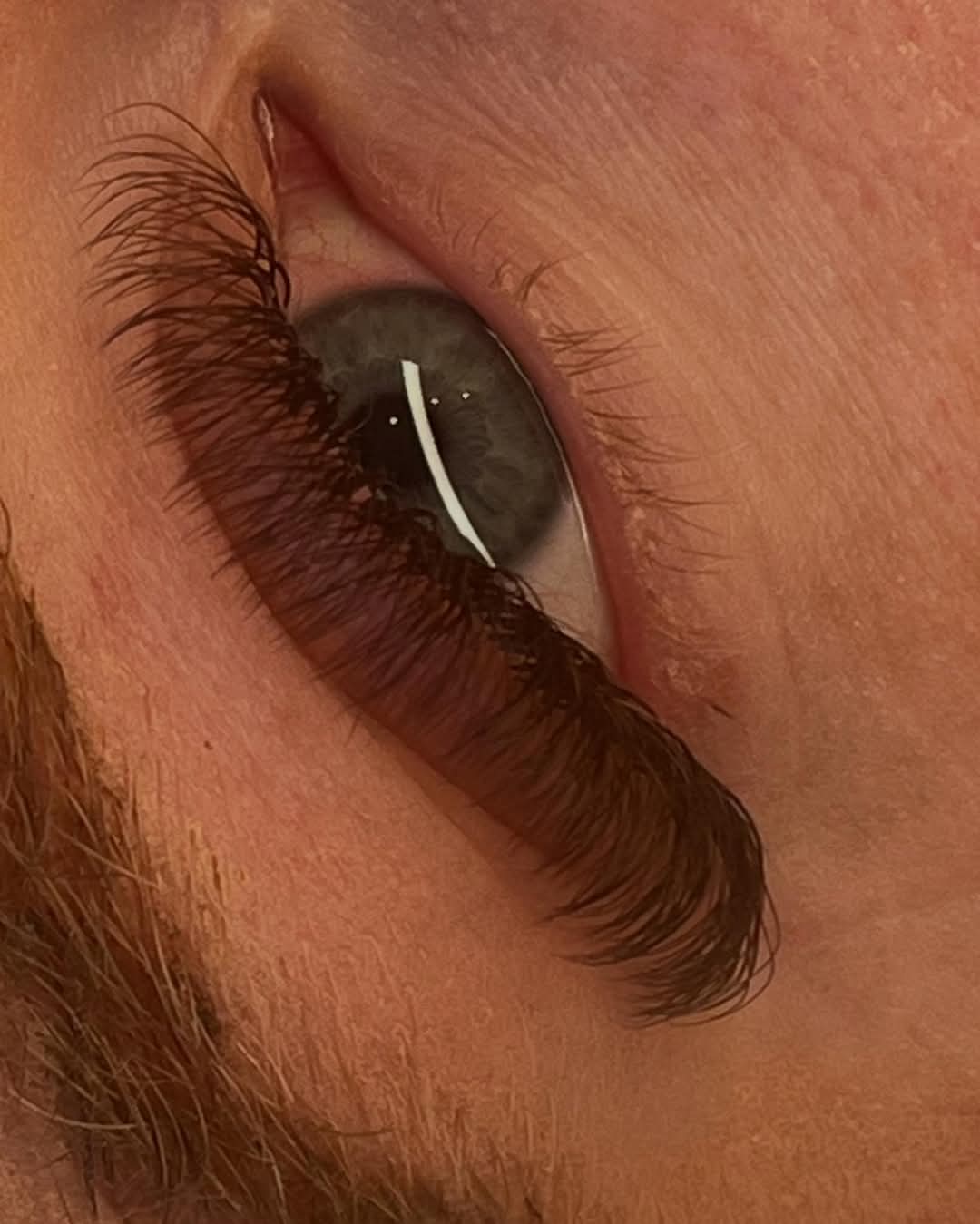 Brown 4D Clover Mixed Tray