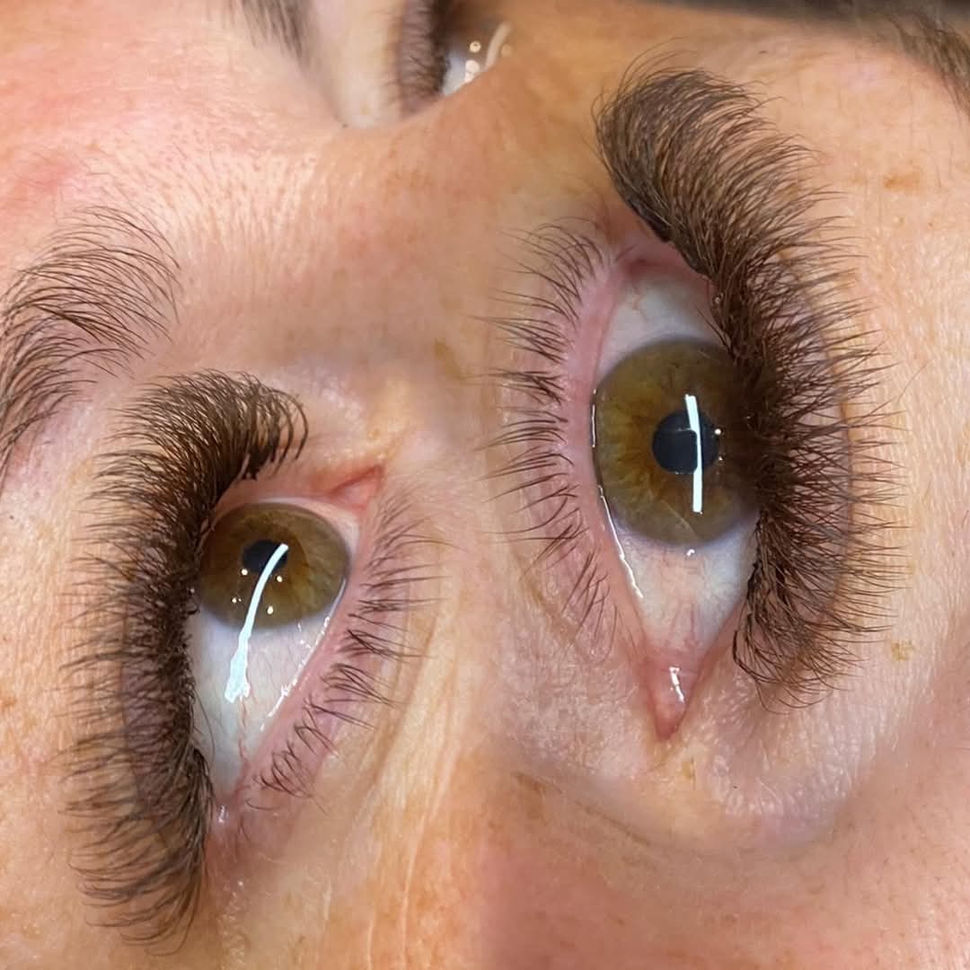 Brown 4D Clover Mixed Tray