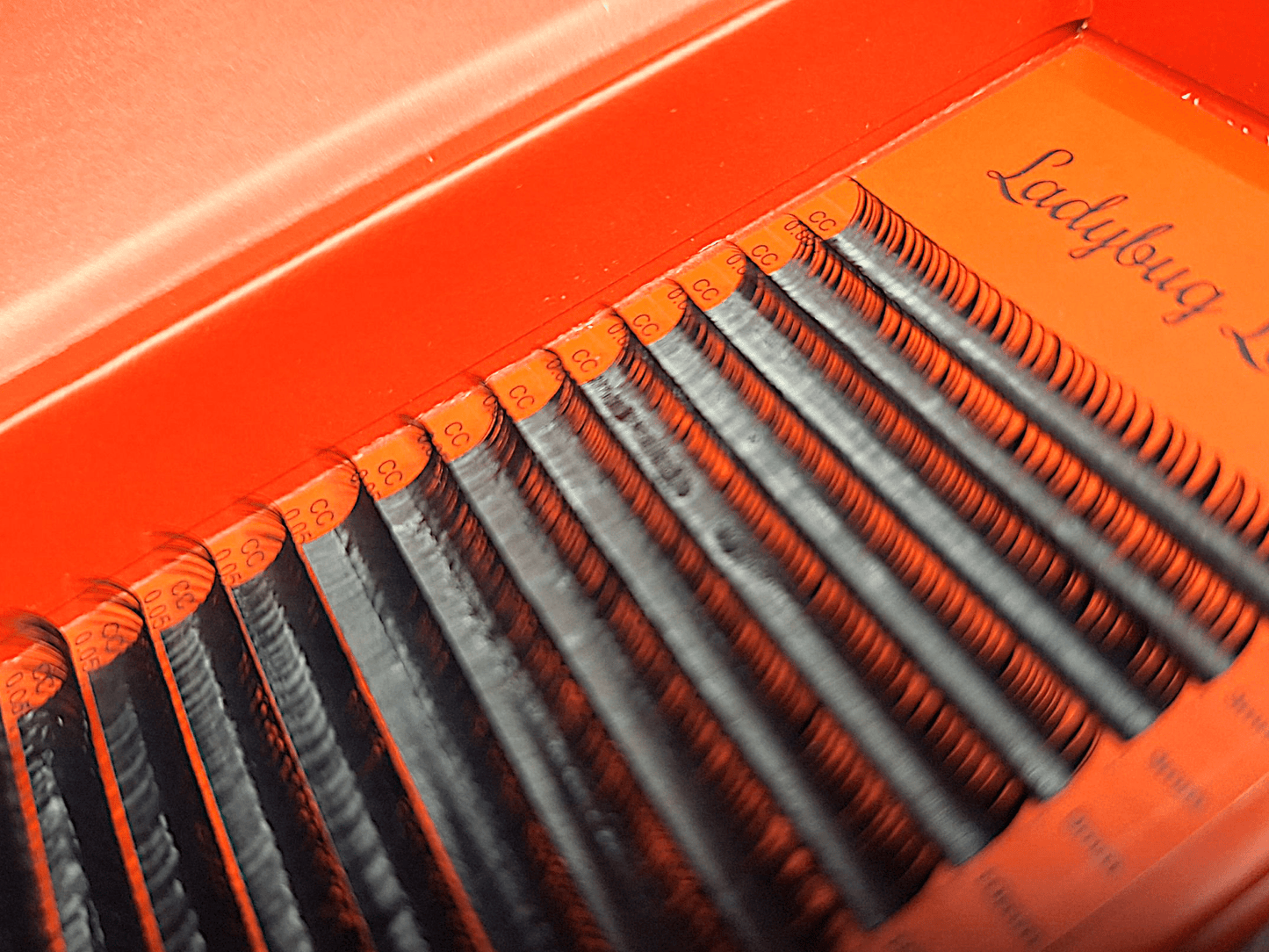 Wet Look Lash Mixed Tray