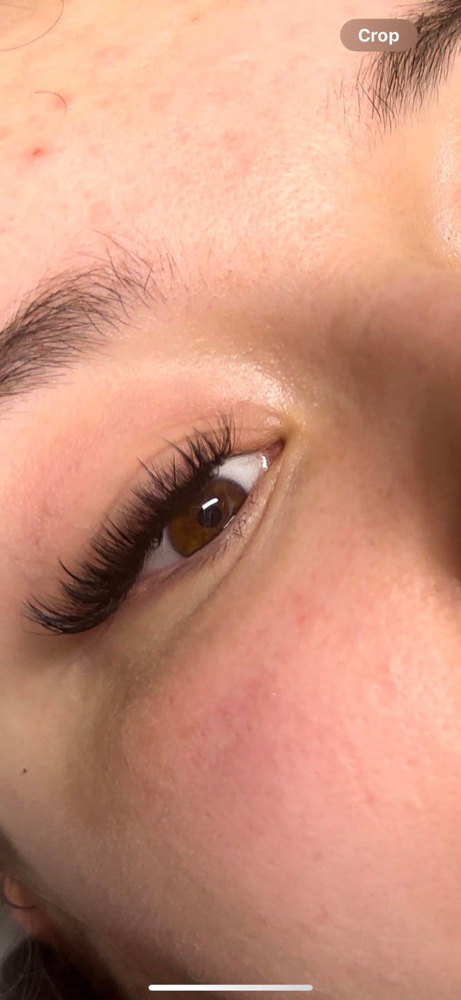 Sample Wet Lash Tray